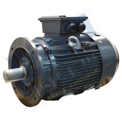 Motor 200 B5 4p 30 kW...