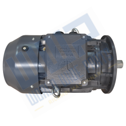Motor 200 B5 4p 30 kW 400/690V - 50 Hz