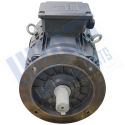 Motor 200 B5 4p 30 kW 400/690V - 50 Hz