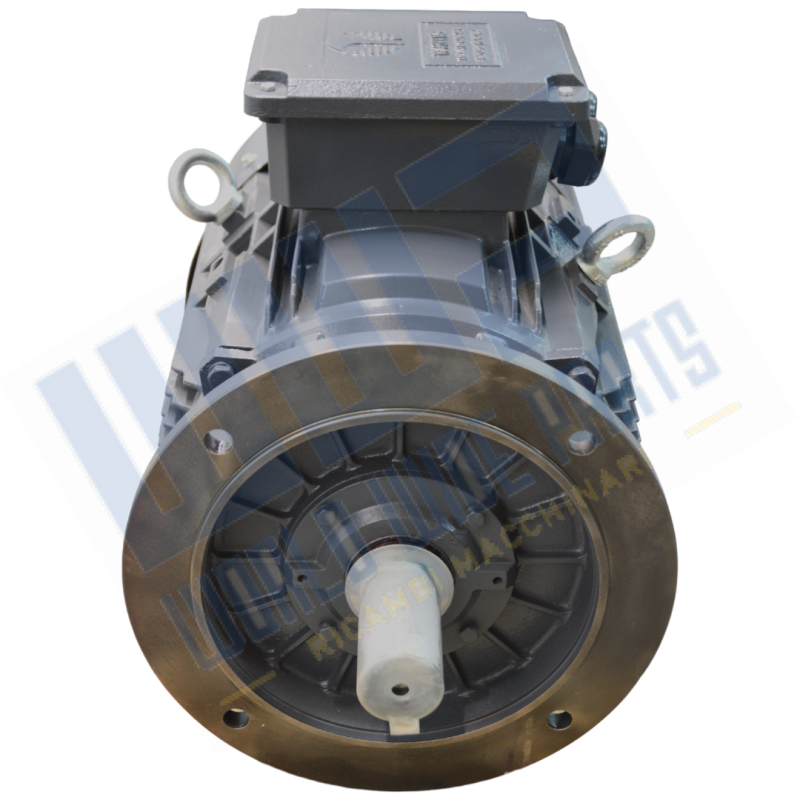 Motore 200 B5 4p 30 kW 400/690V - 50 Hz