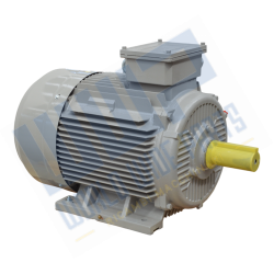 Engine 225 B3 4p 45 kW 400V...