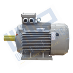 Engine 225 B3 4p 45 kW 400V - 50 Hz