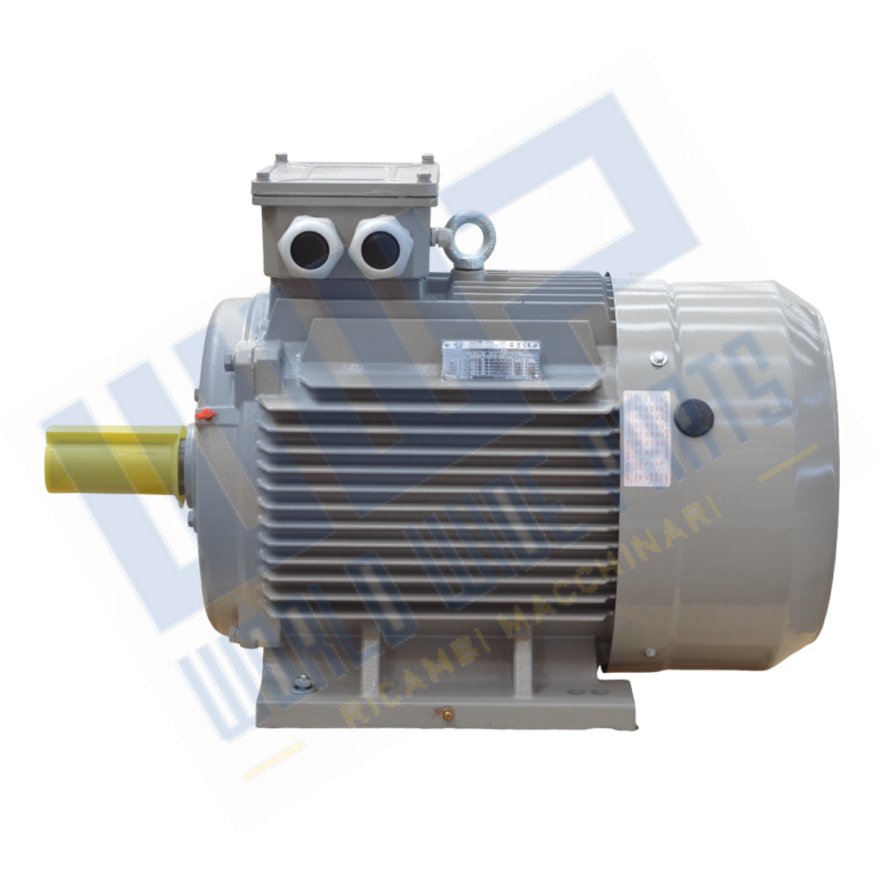 Engine 225 B3 4p 45 kW 400V - 50 Hz