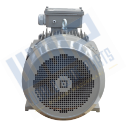 Engine 225 B3 4p 45 kW 400V - 50 Hz