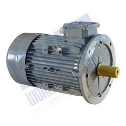 Motor 225 B5 4p 37 kW...