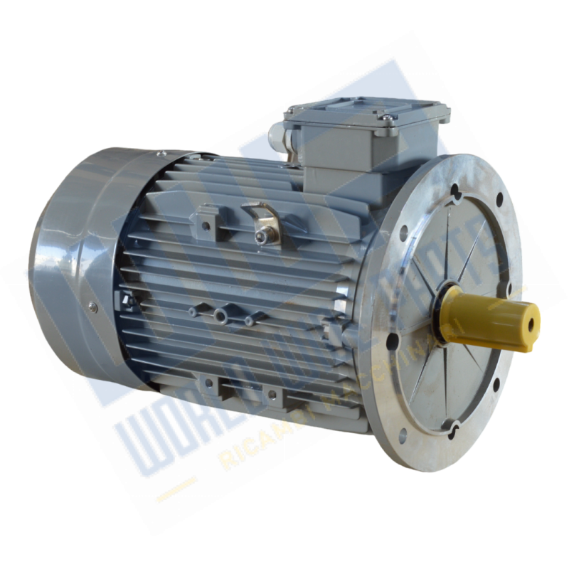 Motor 225 B5 4p 37 kW 400/690V - 50 Hz self-braking
