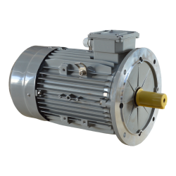 Motor 200 B3 4p 30 kW...