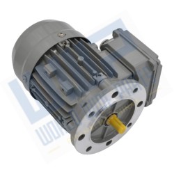 Motor 225 B5 4p 37 kW...