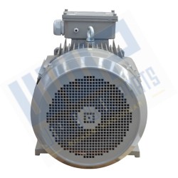 Motor 250 B3 4p 55 kW 400V-50 Hz