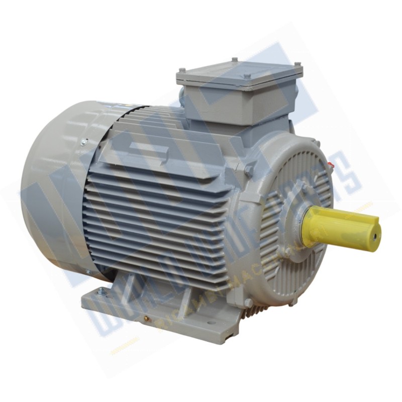 Motor 250 B3 4p 55 kW 400V-50 Hz