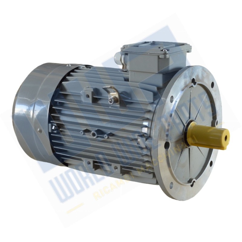 Motor 180 B5 4p 18.5 kW 400/690V-50 Hz with rain cover